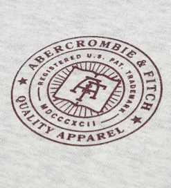 Børn Abercrombie & Fitch Hættetrøjer|Hættetrøje - Lysegråmeleret m. Print