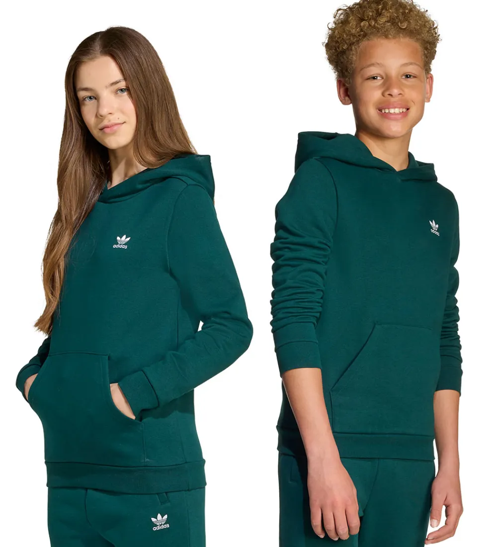 Børn adidas Originals Hættetrøjer>adidas Originale Hættetrøje - Aurora Ivy