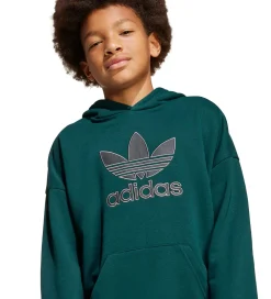 Børn adidas Originals Hættetrøjer>Hættetrøje - Aurivy