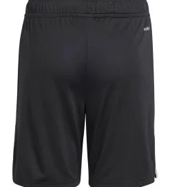 Børn adidas Originals Fodboldshorts|Fodbold|Shorts - FC Bayern München 25/26 3. Sæt - Sort