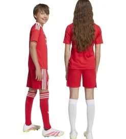 Børn adidas Originals Fodboldshorts|Fodbold></noscript>Shorts - FC Bayern München 25/26 - Pure Ruby