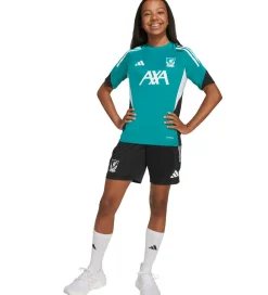 adidas Performance Fodboldtrøjer|Fodbold></noscript>Fodboldtrøje - Liverpool Youth 25/26 - Sea Gr