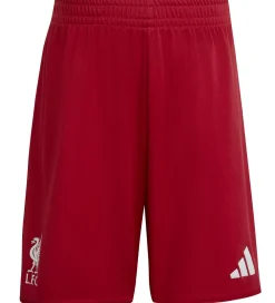 adidas Performance Fodboldtrøjer|Fodboldshorts|Fodboldsæt - LFC H Mini - Strede