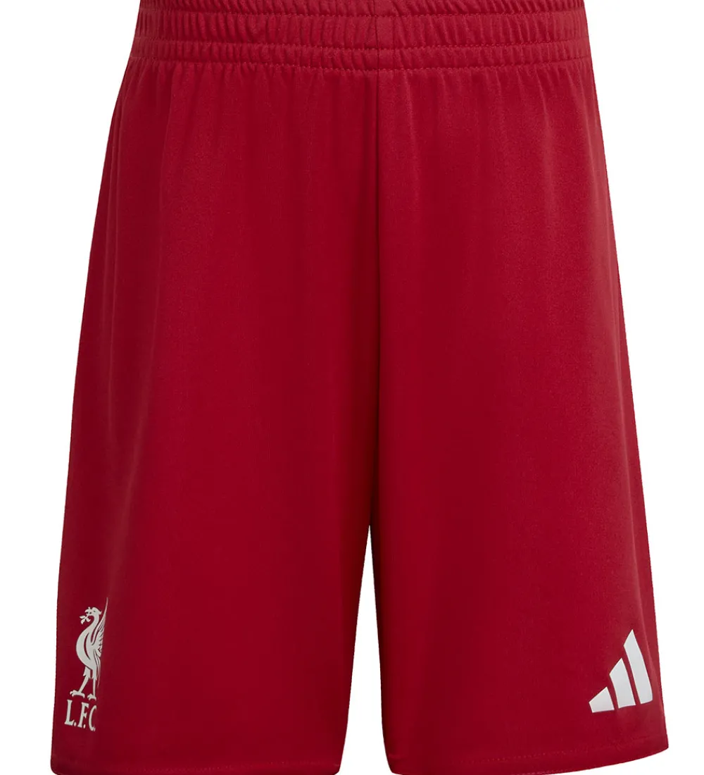 adidas Performance Fodboldtrøjer|Fodboldshorts|Fodboldsæt - LFC H Mini - Strede
