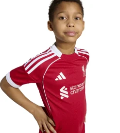 adidas Performance Fodboldtrøjer|Fodboldshorts|Fodboldsæt - LFC H Mini - Strede