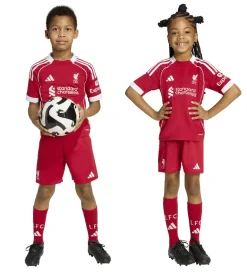 adidas Performance Fodboldtrøjer|Fodboldshorts|Fodboldsæt - LFC H Mini - Strede