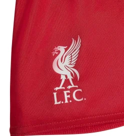 adidas Performance Fodboldtrøjer|Fodboldshorts|Fodboldsæt - Liverpool 25/26 Hjemmebane - Str