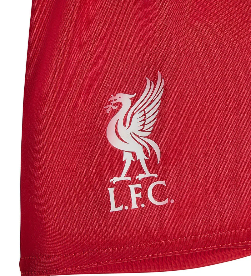 adidas Performance Fodboldtrøjer|Fodboldshorts|Fodboldsæt - Liverpool 25/26 Hjemmebane - Str