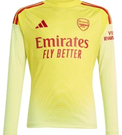 adidas Performance Fodboldtrøjer|Fodboldtrøje - AFC H GK - PULYEL/TEPORE