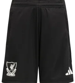 Børn adidas Performance Shorts Og Knickers|Shorts - Liverpool Youth 25/26 - Sort