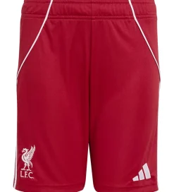 Børn adidas Performance Fodboldshorts|Fodbold|Shorts - Liverpool 25/26 Hjemmebane - Strred