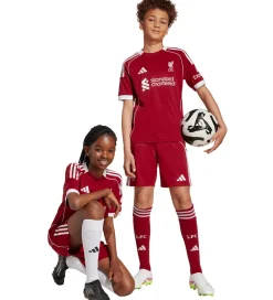 Børn adidas Performance Fodboldshorts|Fodbold|Shorts - Liverpool 25/26 Hjemmebane - Strred