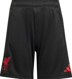 Børn adidas Performance Fodboldshorts|Fodbold>Shorts - Liverpool - Sort
