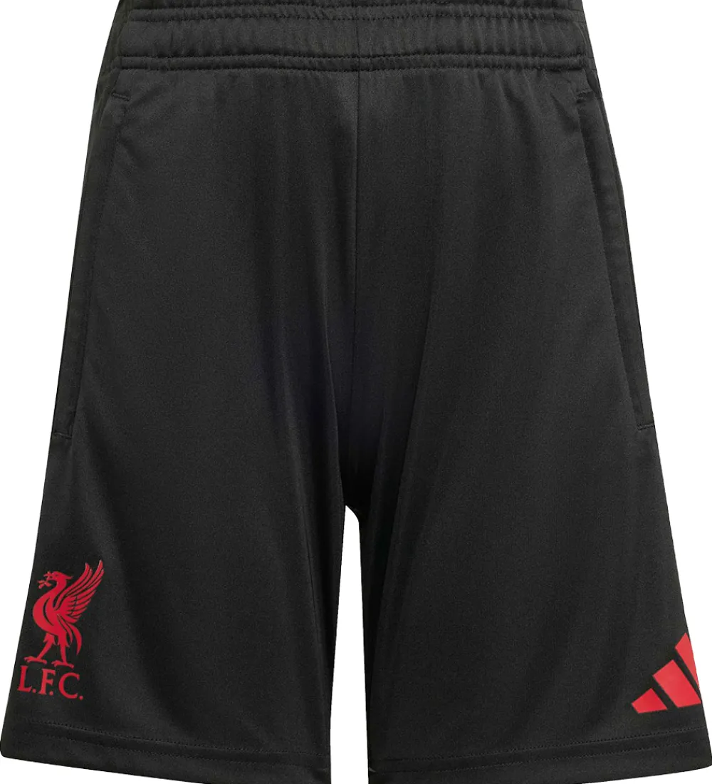Børn adidas Performance Fodboldshorts|Fodbold>Shorts - Liverpool - Sort