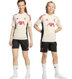 Børn adidas Performance Fodboldshorts|Fodbold>Shorts - Liverpool - Sort