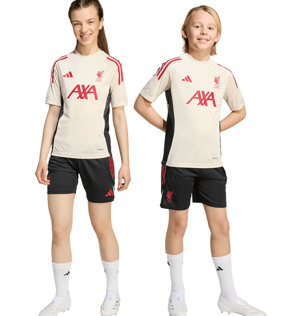 Børn adidas Performance Fodboldshorts|Fodbold>Shorts - Liverpool - Sort