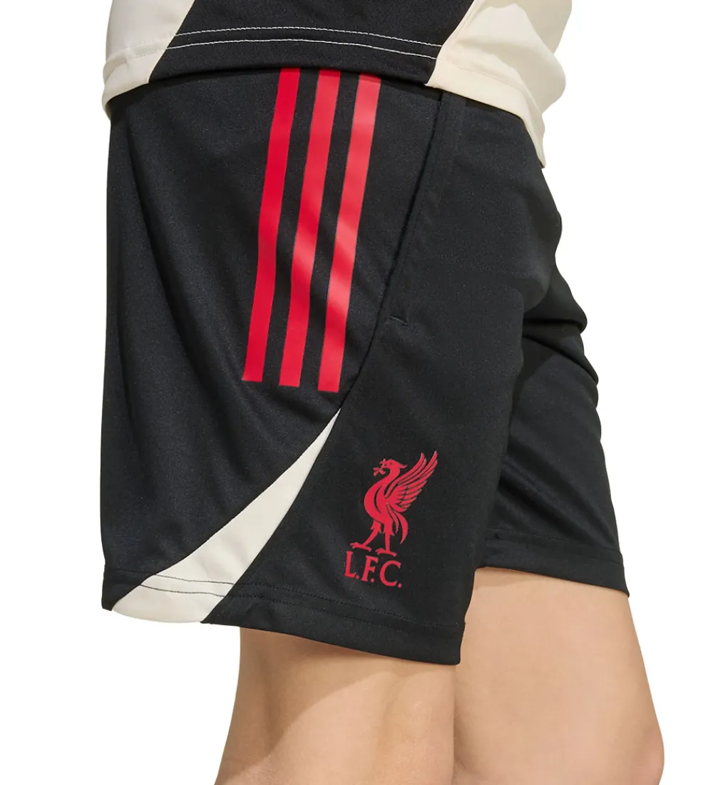 Børn adidas Performance Fodboldshorts|Fodbold>Shorts - Liverpool - Sort