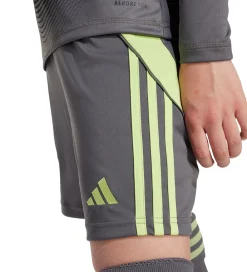 Børn adidas Performance Shorts Og Knickers|Shorts - Manchester United - Grefiv