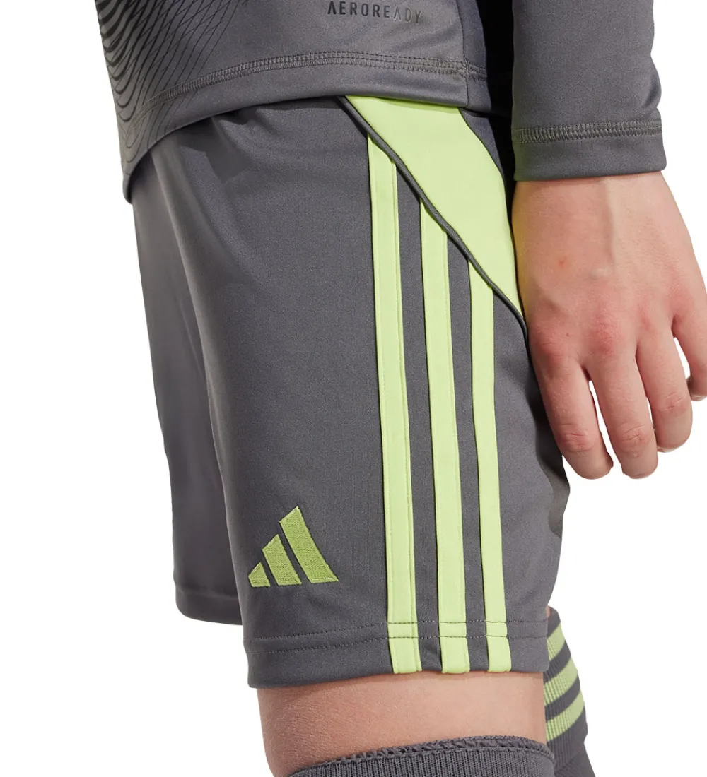 Børn adidas Performance Shorts Og Knickers|Shorts - Manchester United - Grefiv