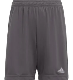 adidas Performance Sportsshorts|Fodboldshorts|Shorts - Entrada 22 - Grå