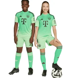 Børn adidas Performance Fodboldshorts|Fodbold>Shorts - FC bayern München 25/26 Målmand - Gl