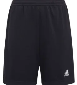 adidas Performance Sportsshorts|Fodboldshorts>Shorts - Entrada 22 - Sort