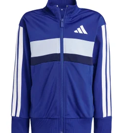adidas Performance Træningssæt>Træningssæt - LK3S TIB TS - Royblu/White/Glob