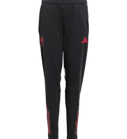 adidas Performance Træningsbukser|Træning Og Gymnastik|Træningsbukser - Liverpool - Sort