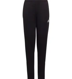 adidas Performance Træningsbukser>Træningsbukser - ENT22 TR PNT Y