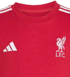 adidas Performance Fodboldtrøjer|Fodbold|T-shirt - Liverpool FC - Rød