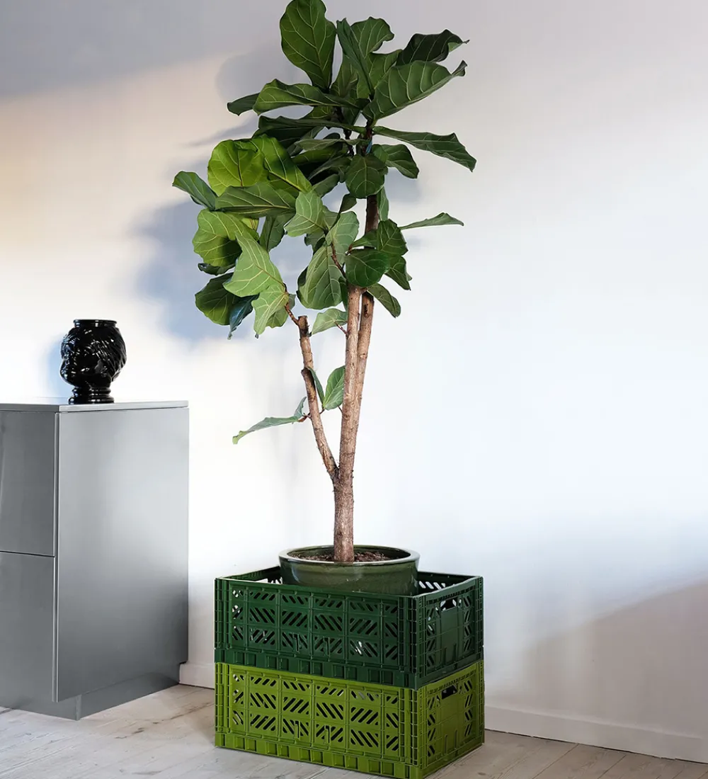 Aykasa Foldekasser|Bokse Og Kasser>Foldekasse - 60x40x22 cm - Maxi - Rød