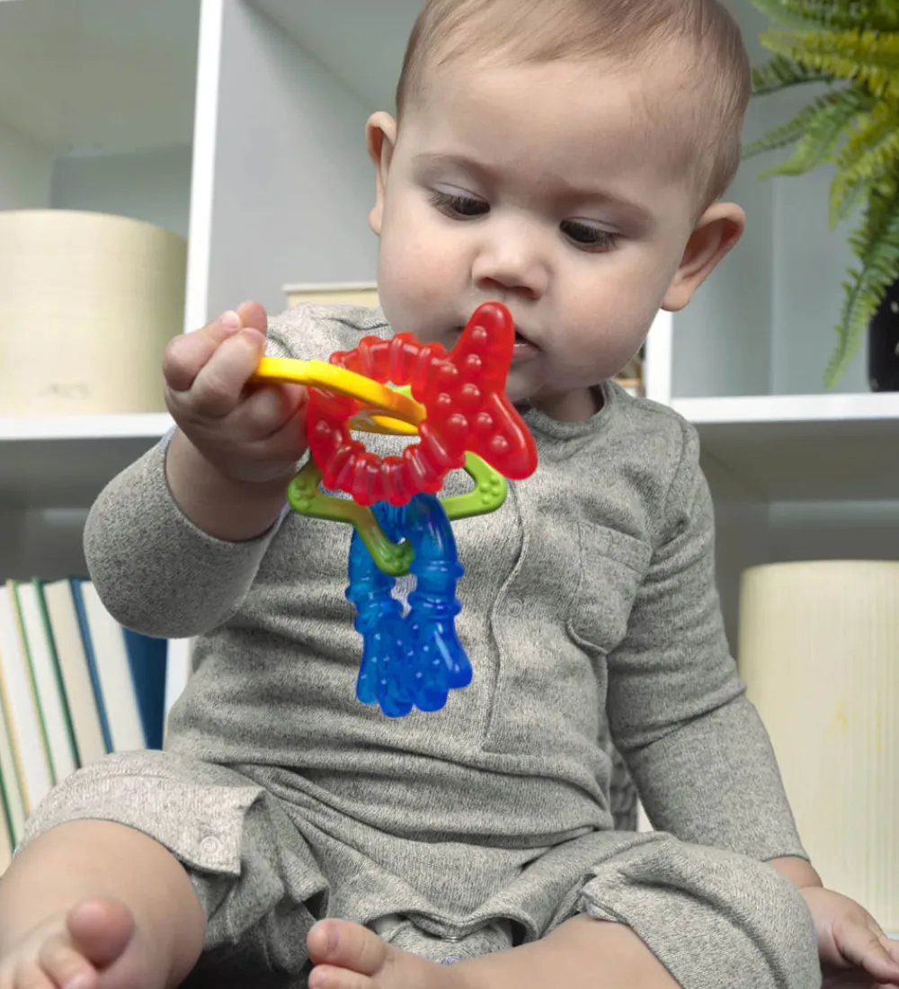 Baby Einstein Bideringe|Bideringe - Sæt m. 4 - Cool Critters