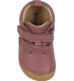 Bisgaard Begyndersko><noscript><img width=