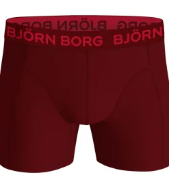 Børn Björn Borg Undertøj>Boxershorts - 5-pak - Multipack