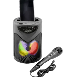 Bontempi Musikinstrumenter|Højtalere>Højtaler m. Mikrofon/Lys - 18 cm - Trådløs