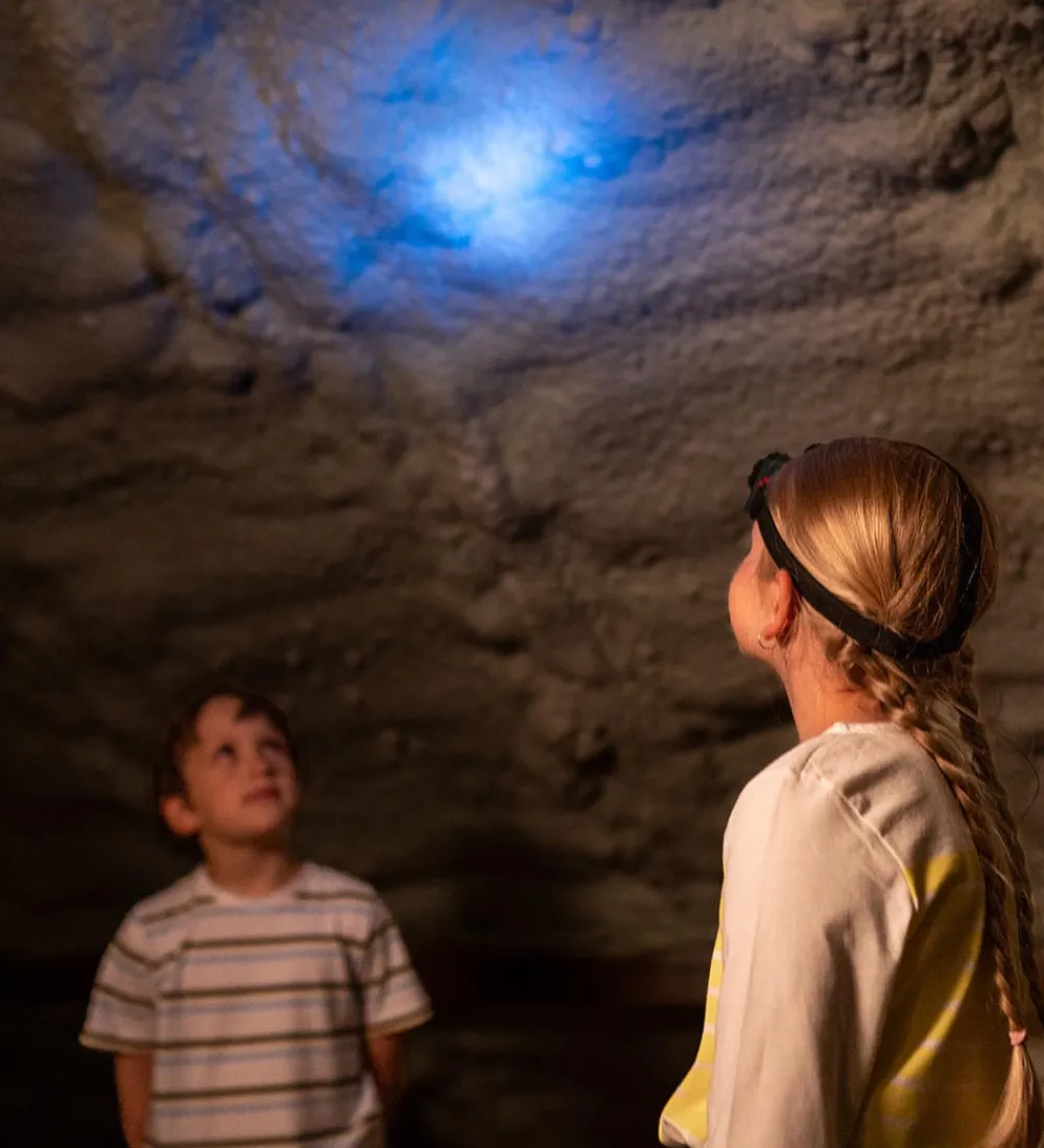 Bosch Mini Legeværktøj|Pandelampe - Legetøj - 6,5x4 cm - Grøn