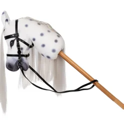 by ASTRUP Kæpheste|Kæphest - 68 cm - Plettet