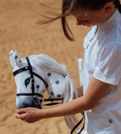 by ASTRUP Kæpheste|Kæphest - 68 cm - Plettet