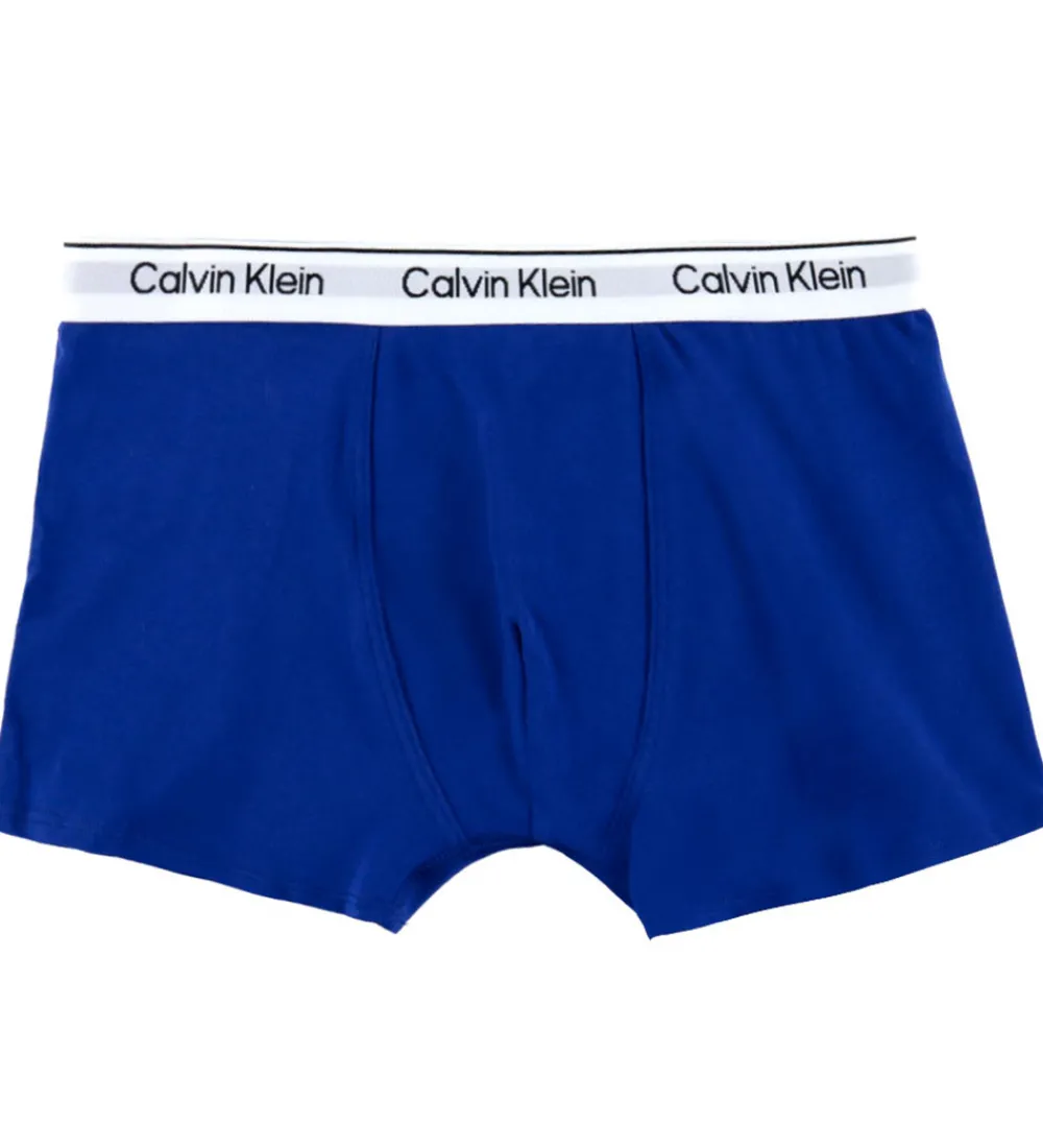 Børn Calvin Klein Undertøj|Boxershorts - 2-pak - Faded Denim/Bold Blue