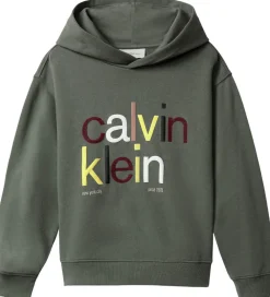 Børn Calvin Klein Hættetrøjer>Hættetrøje - Color Logo - Thyme Green