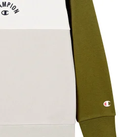 Børn Champion Hættetrøjer>Hættetrøje - Immersive Olive