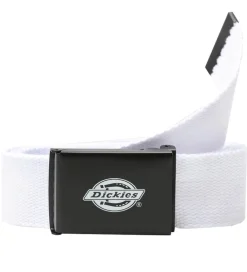 Børn Dickies Bælter|Bælte - Orcutt - Hvid