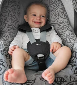 Dooky Autostole>Universelle Puder - Sort