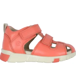 Ecco Begyndersko|Sandal - Mini Stride - Coral