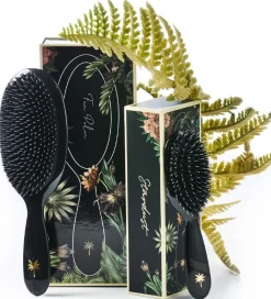 Fan Palm Hårbørster><noscript><img width=