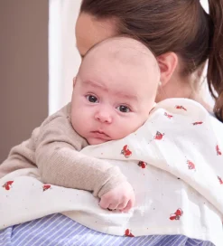 Filibabba Babysvøb><noscript><img width=