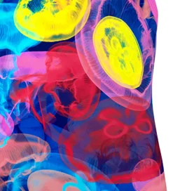 Funkita Svømmetøj>Badedragt - Printed - UV50+ - Sting Stung