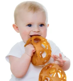 Hevea Bolde><noscript><img width=