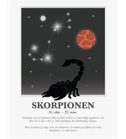 Kids by Friis Plakater Og Billeder>Plakat - Stjernetegn - Skorpionen