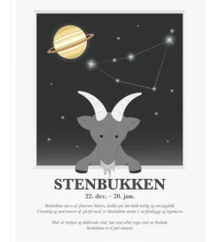 Kids by Friis Plakater Og Billeder>Plakat - Stjernetegn - Stenbukken